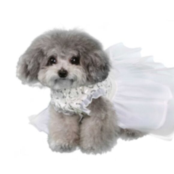 Dog "Aurora" Wedding or Party Dress - Picture 2 of 7